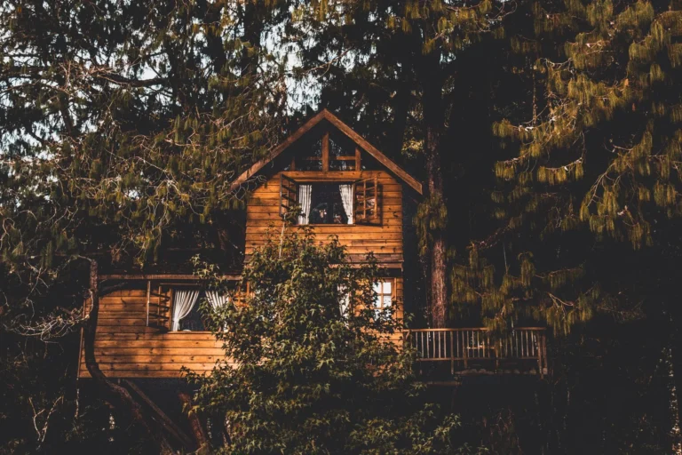 Cabane perchée dans un chêne, typique des domaines forestiers français ouverts à la réservation