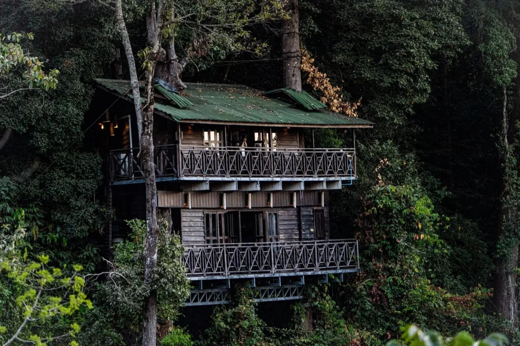 Cabane en bois perchée dans les chênes de l'arrière-pays basque