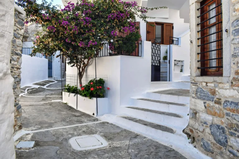 Maison traditionnelle aux volets verts et roses trémières dans une ruelle de l'île de Ré